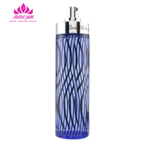 Paris Hilton for Men Eau de Toilette 100ml